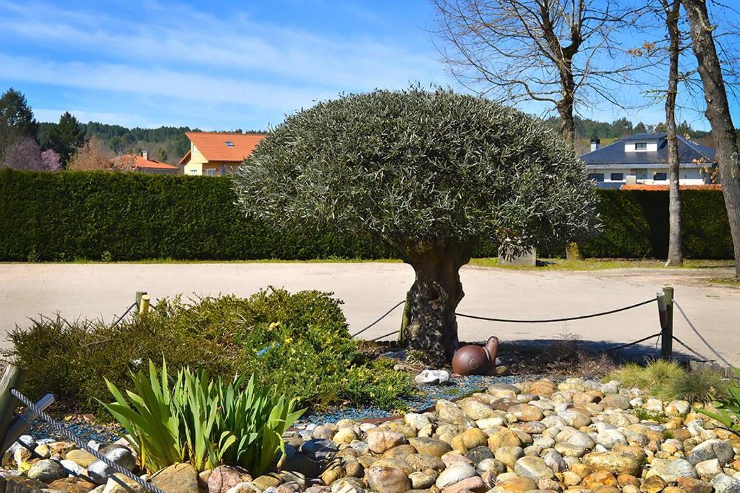 Hotel Os Caracoles Pereiro de Aguiar Zewnętrze zdjęcie